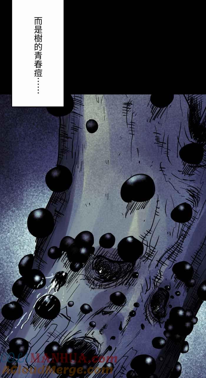 [第867话]树葡萄-百鬼夜行志・一夜怪谈之卷-阿慢（第13张）