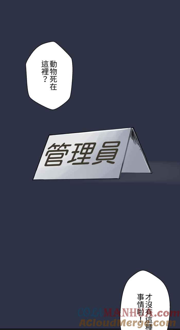 [第875话]企鹅-百鬼夜行志・一夜怪谈之卷-阿慢（第13张）