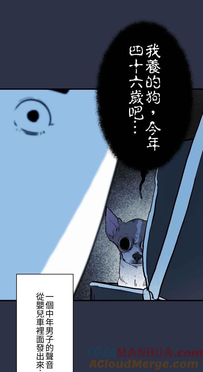 [第942话]吉娃娃-百鬼夜行志・一夜怪谈之卷-阿慢（第18张）