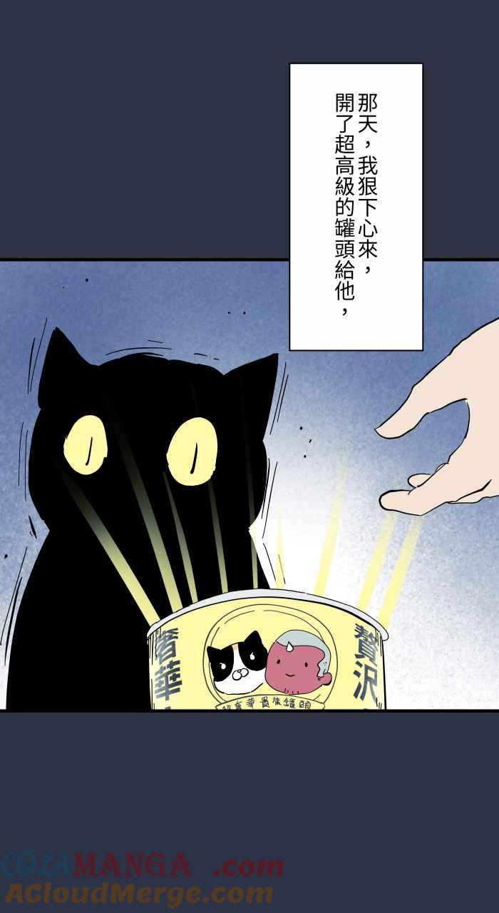 [第960话]猫的报恩-百鬼夜行志・一夜怪谈之卷-阿慢（第16张）
