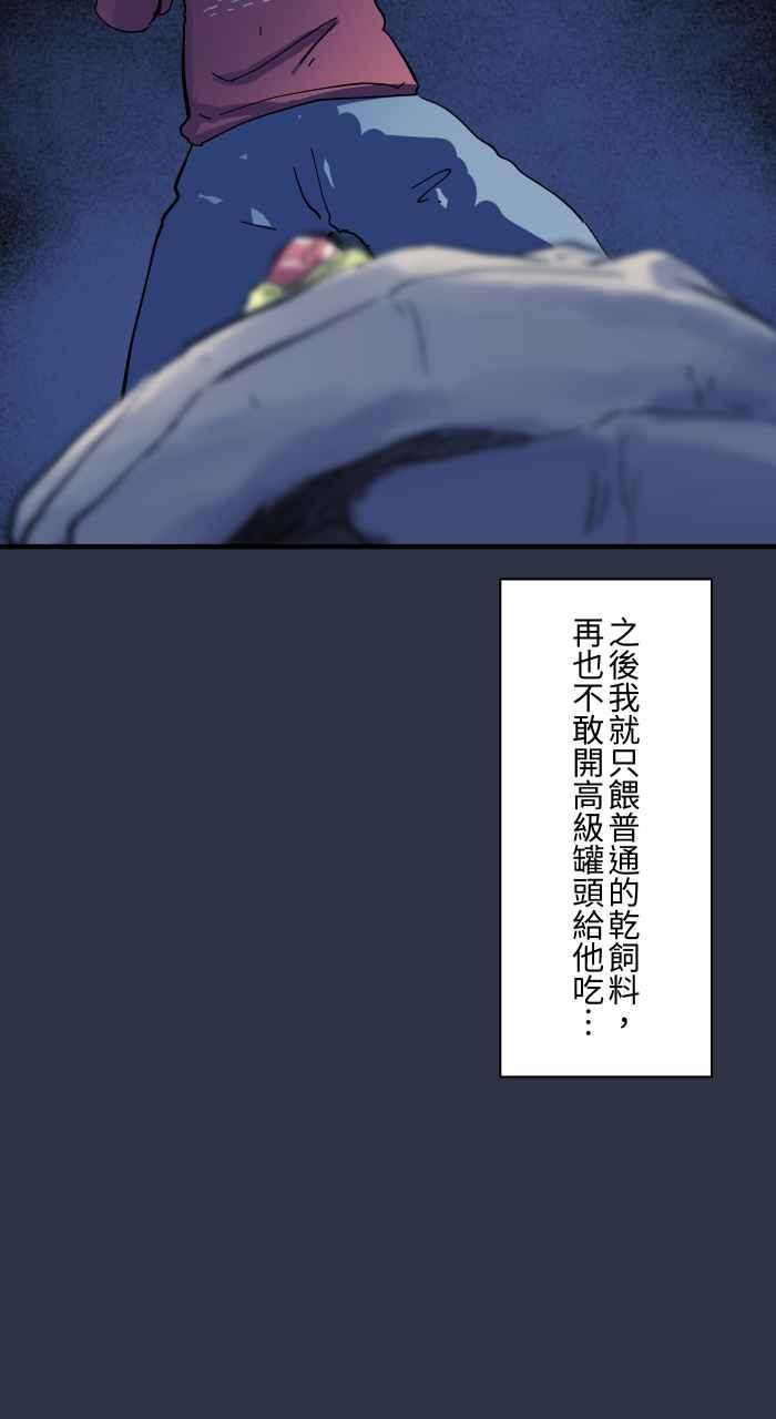 [第960话]猫的报恩-百鬼夜行志・一夜怪谈之卷-阿慢（第21张）