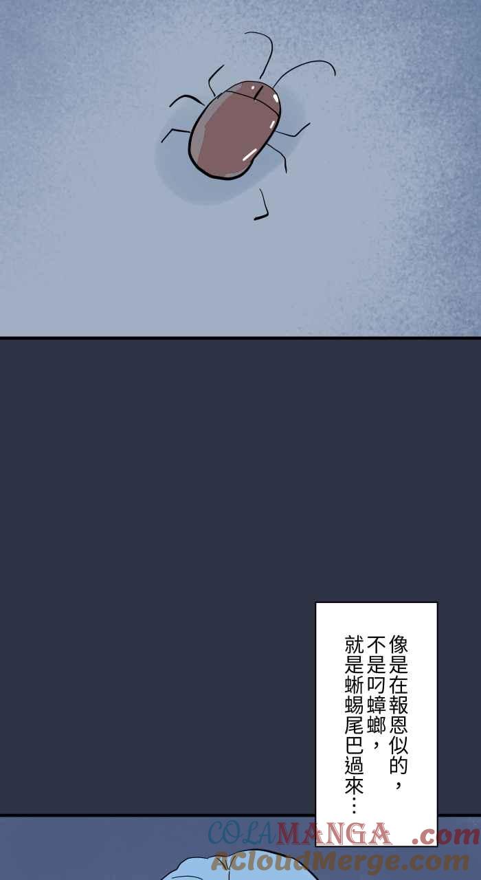 [第960话]猫的报恩-百鬼夜行志・一夜怪谈之卷-阿慢（第8张）