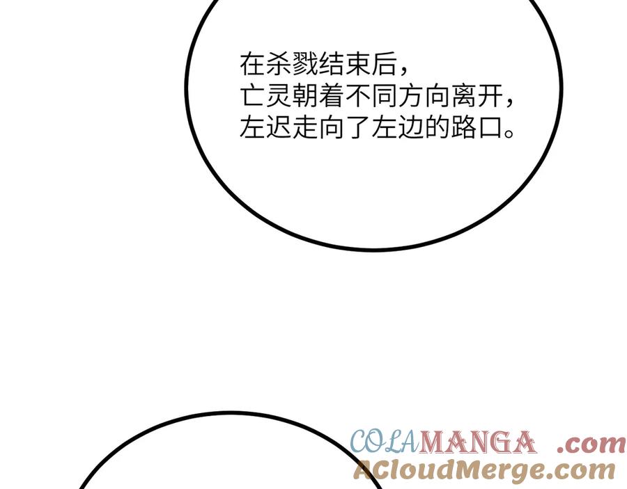213.jpg