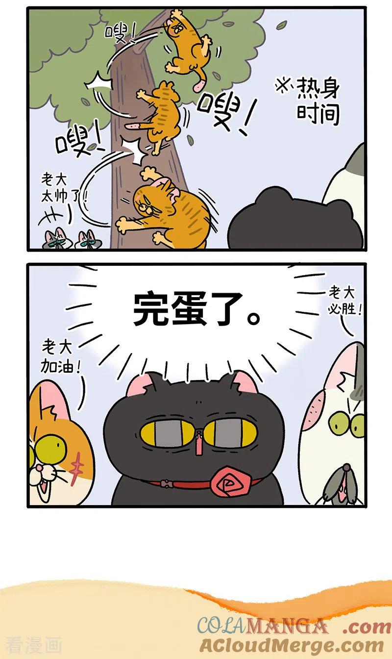 第43话1帮派之争-阿满和麦茶-新漫画 日胖大海寺（第5张）