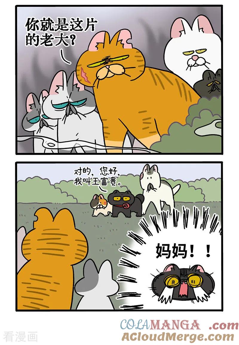 第43话1帮派之争-阿满和麦茶-新漫画 日胖大海寺（第2张）