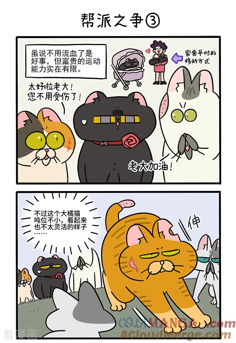 第43话1帮派之争-阿满和麦茶-新漫画 日胖大海寺（第4张）