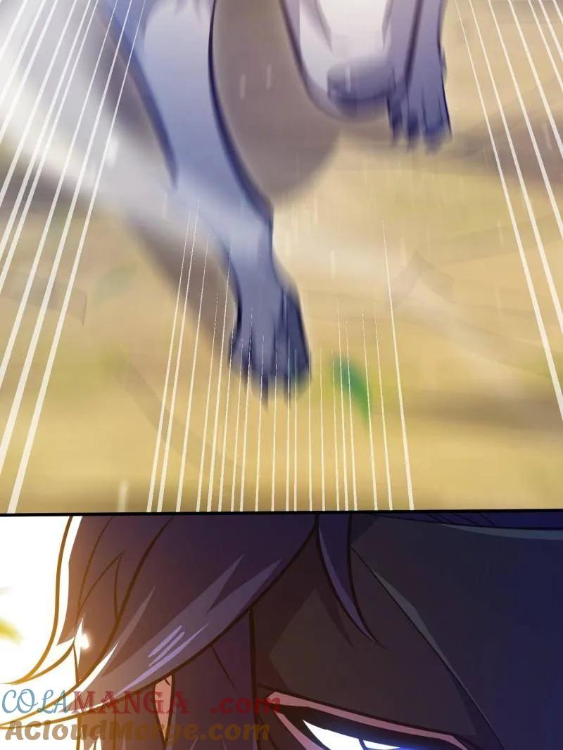 113.jpg