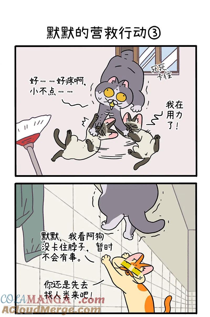 第72话1默默的营救行动-阿满和麦茶-新漫画 日胖大海寺（第4张）