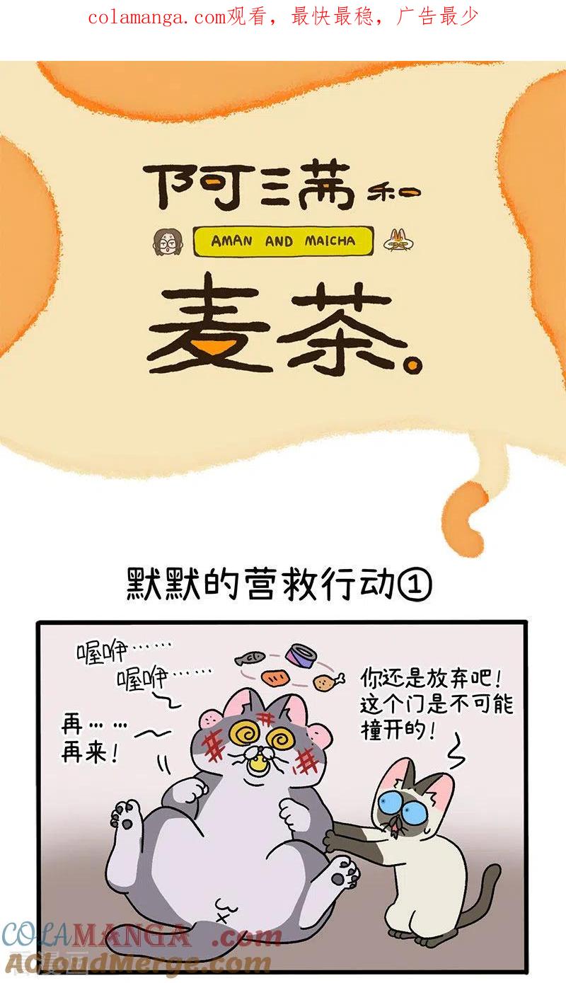 第72话1默默的营救行动-阿满和麦茶-新漫画 日胖大海寺（第1张）