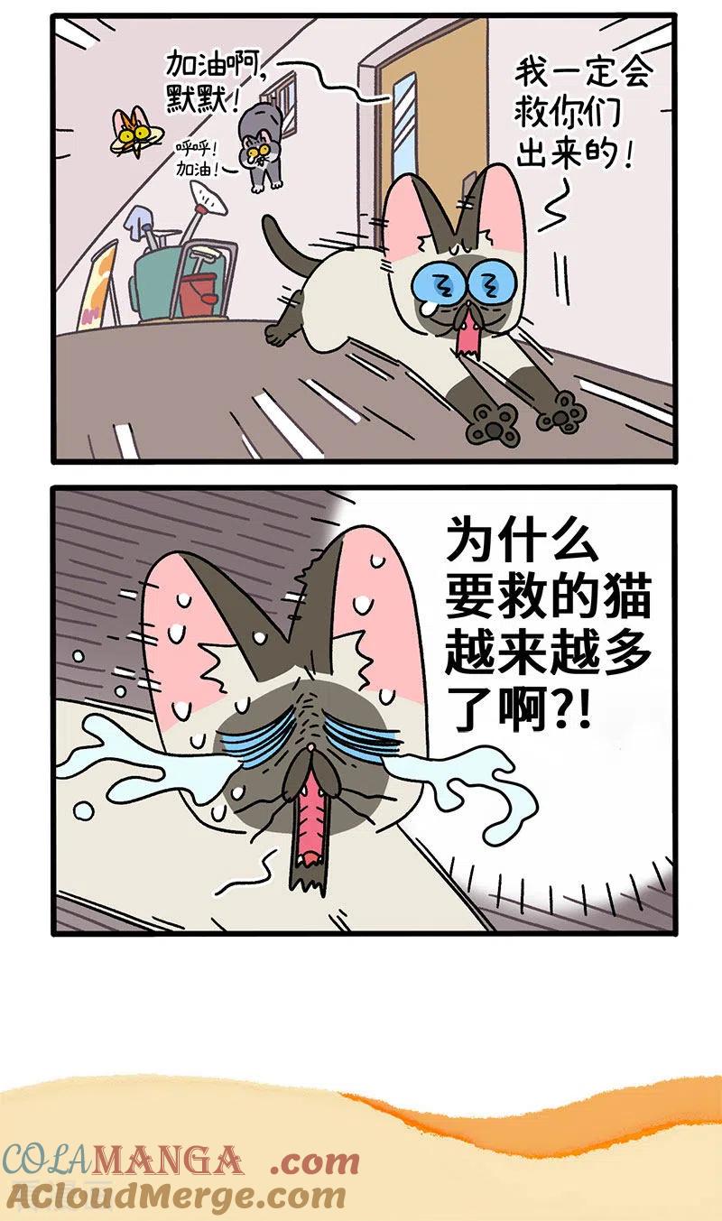第72话1默默的营救行动-阿满和麦茶-新漫画 日胖大海寺（第5张）