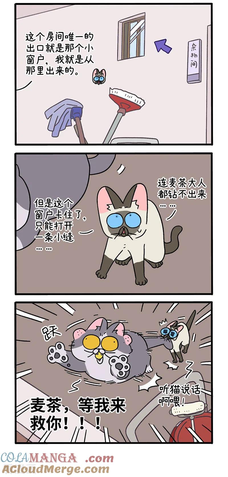 第72话1默默的营救行动-阿满和麦茶-新漫画 日胖大海寺（第2张）