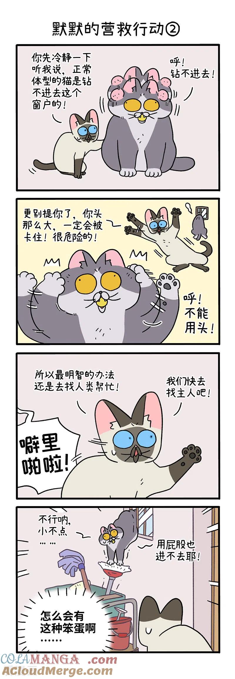 第72话1默默的营救行动-阿满和麦茶-新漫画 日胖大海寺（第3张）