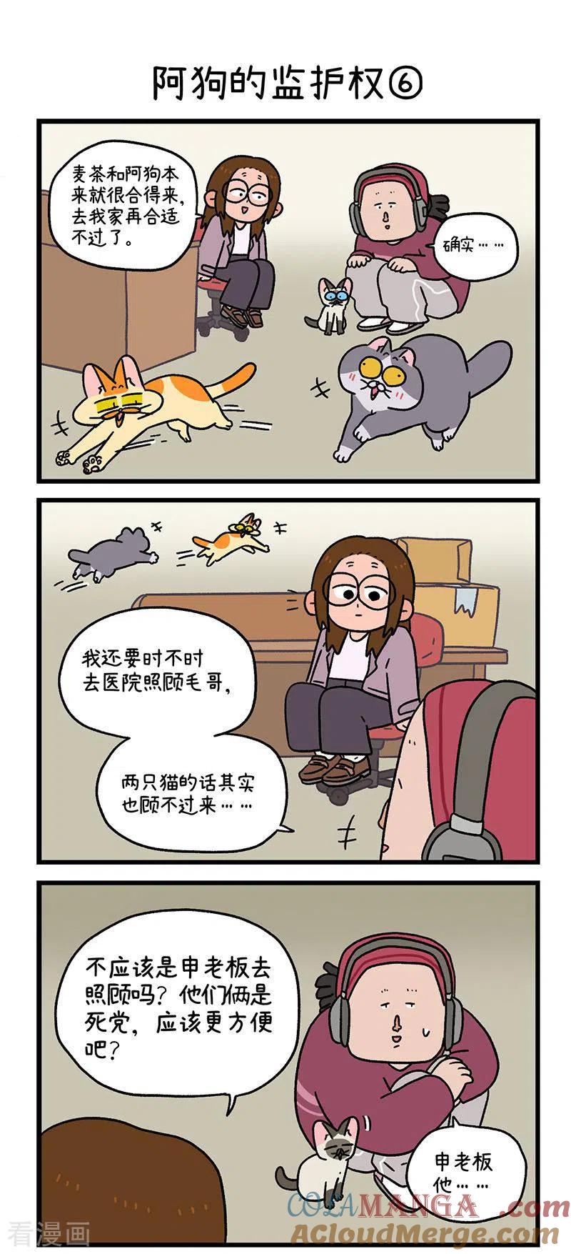 第88话2阿狗的监护权-阿满和麦茶-新漫画 日胖大海寺（第4张）