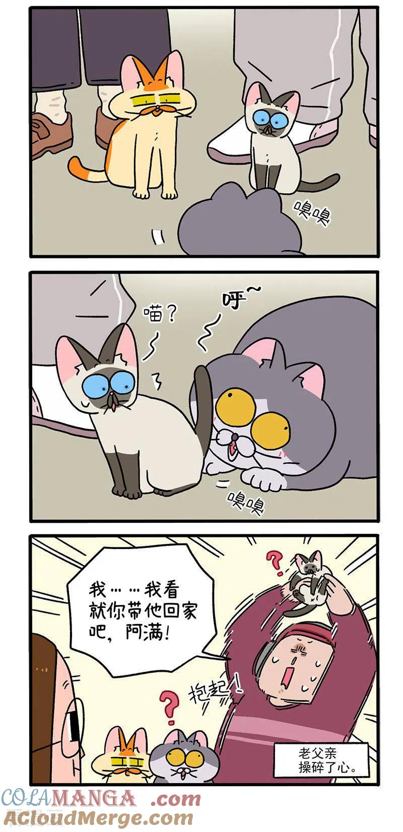 第88话2阿狗的监护权-阿满和麦茶-新漫画 日胖大海寺（第3张）