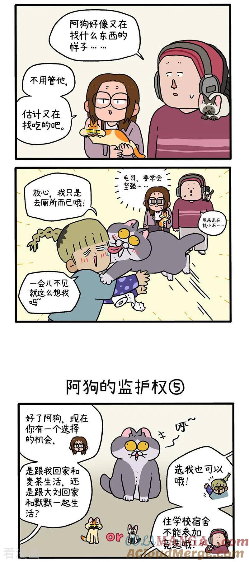 第88话2阿狗的监护权-阿满和麦茶-新漫画 日胖大海寺（第2张）
