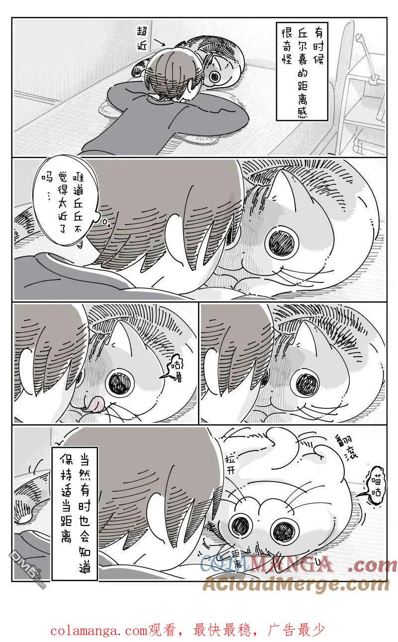 第241话-关于养猫我一直是新手-キュルZ（第2张）