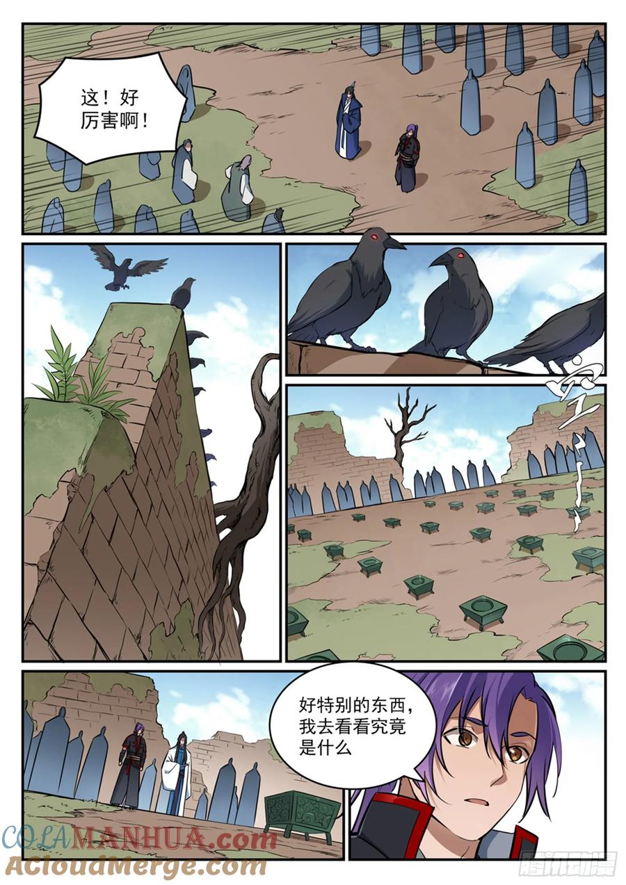 5.jpg