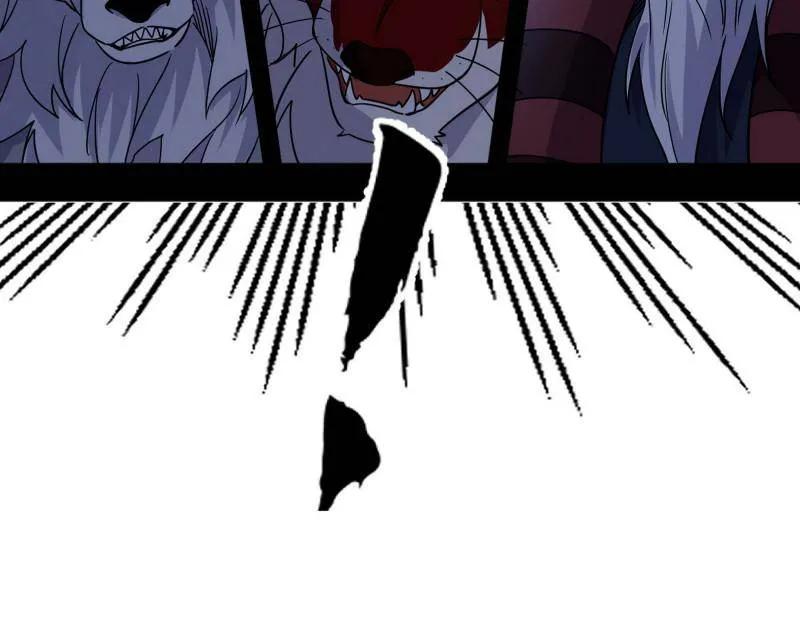 147.jpg