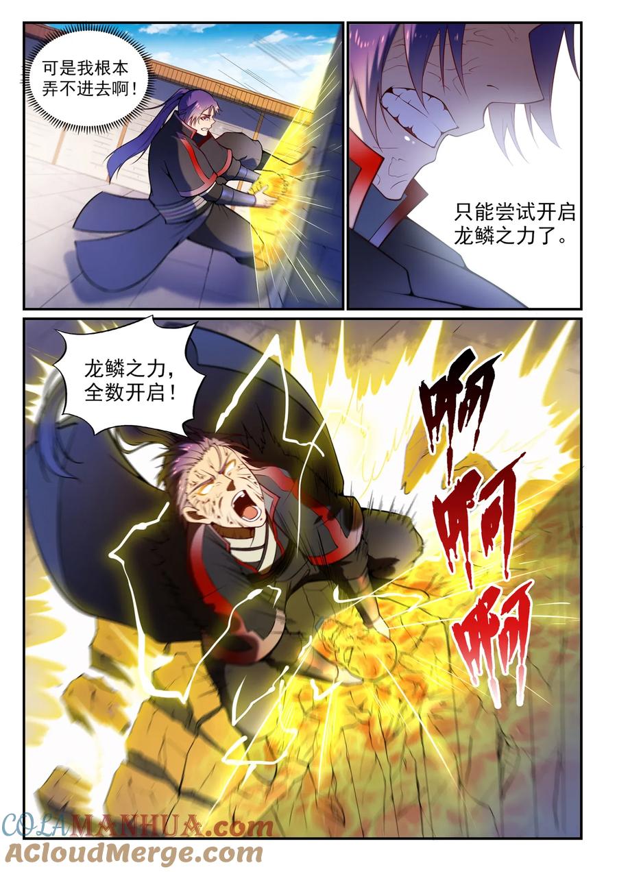 5.jpg
