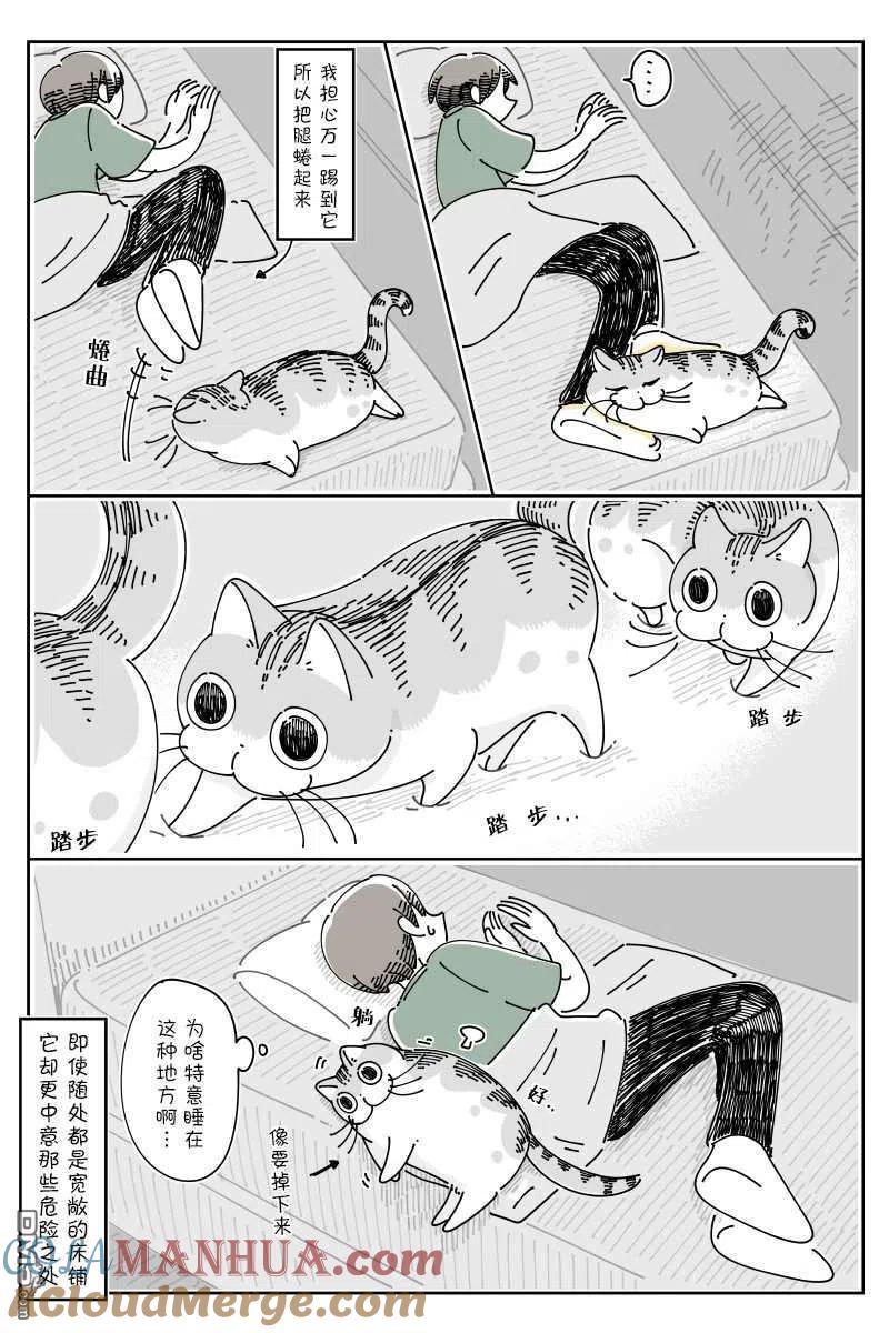 第80话-关于养猫我一直是新手-キュルZ（第2张）