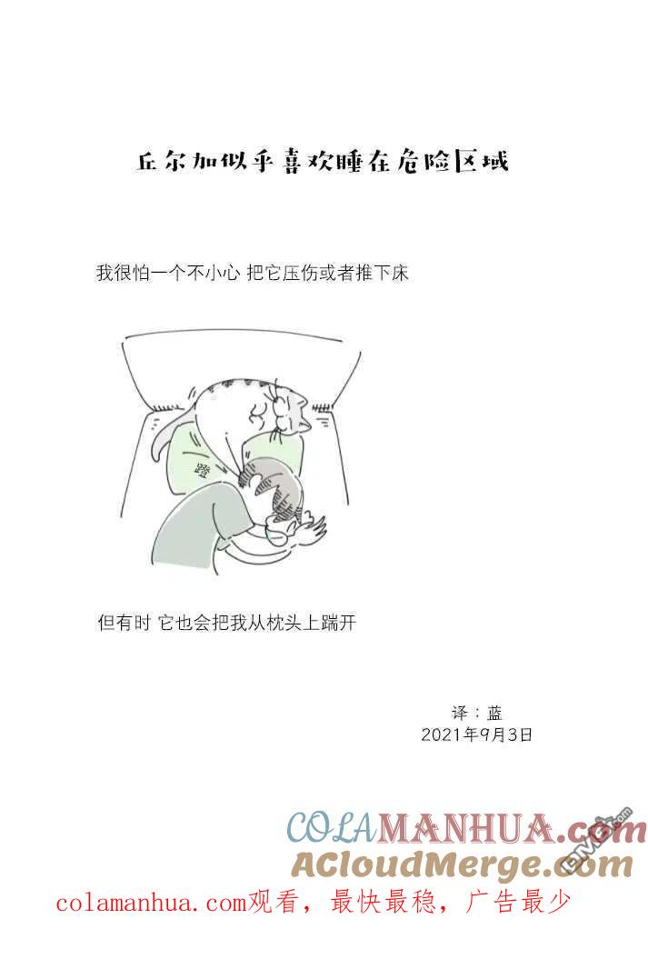 第80话-关于养猫我一直是新手-キュルZ（第3张）