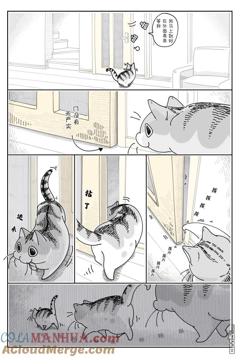 第88话-关于养猫我一直是新手-キュルZ（第1张）
