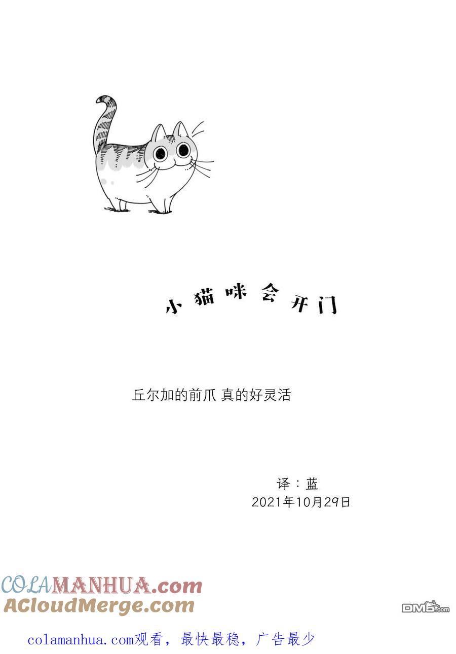 第88话-关于养猫我一直是新手-キュルZ（第3张）