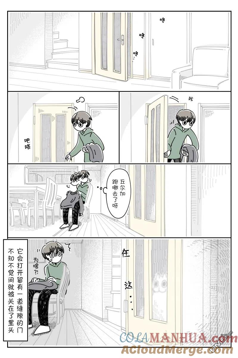 第88话-关于养猫我一直是新手-キュルZ（第2张）
