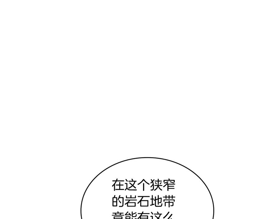 84.jpg