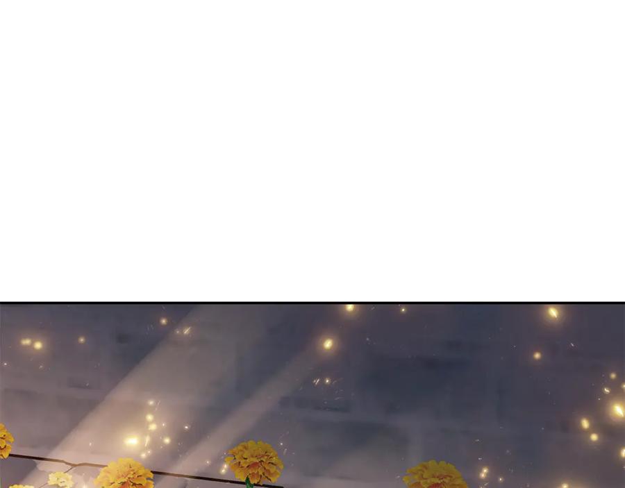 284.jpg