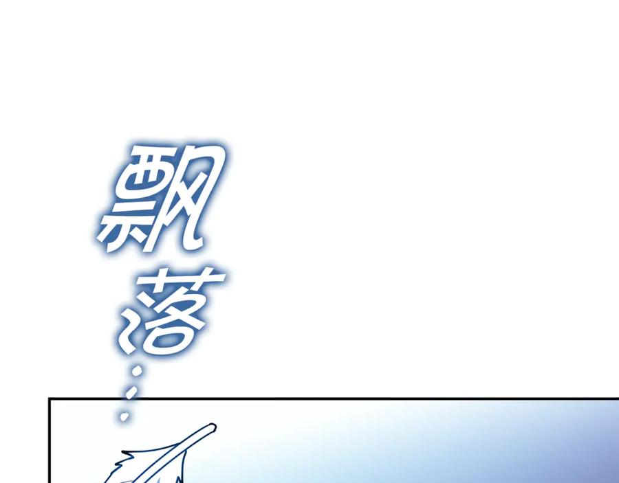 243.jpg
