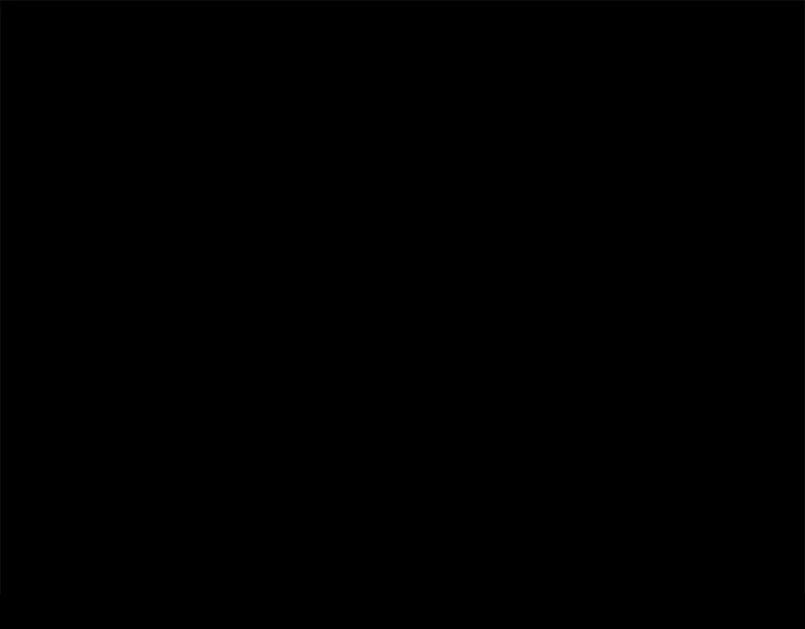 78.jpg