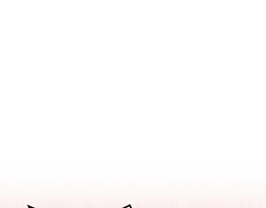 255.jpg