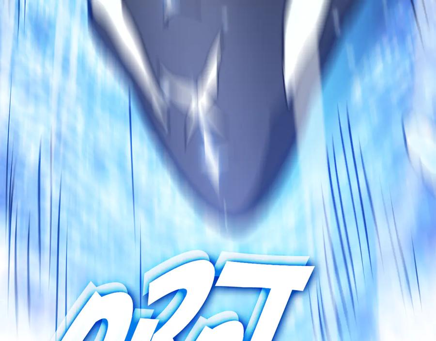 290.jpg