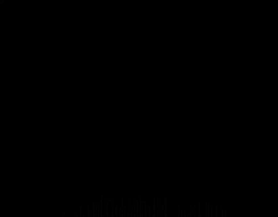 106.jpg