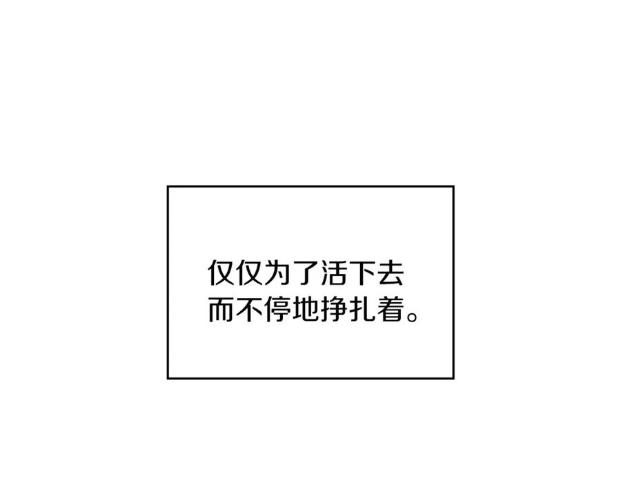 204.jpg