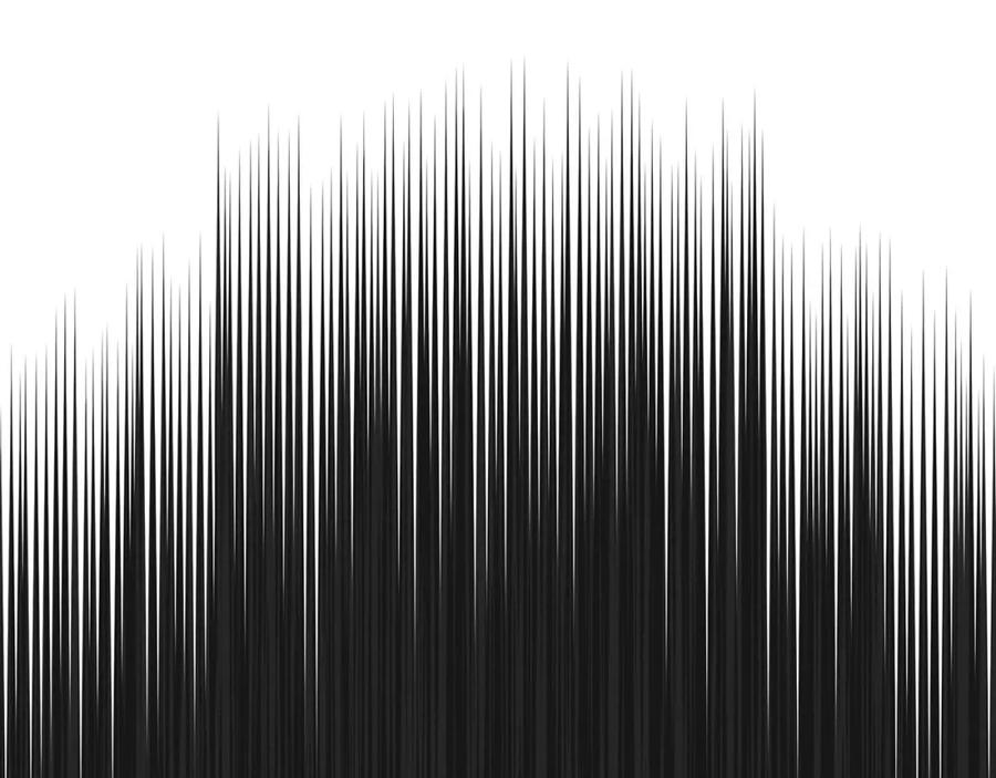 195.jpg