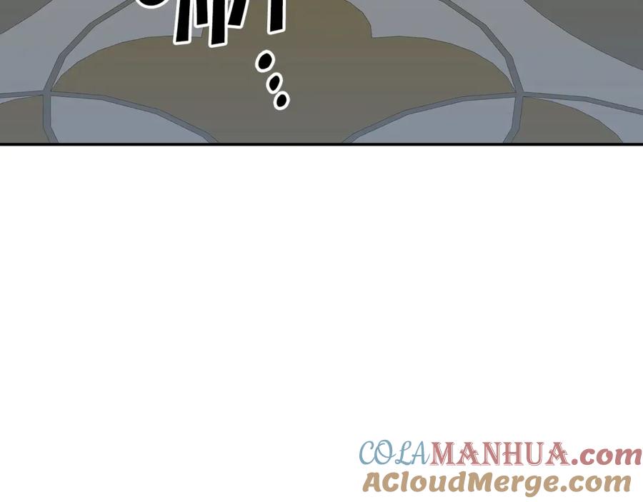 137.jpg