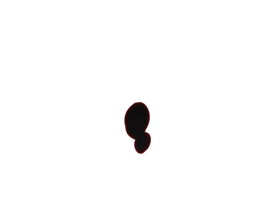 171.jpg