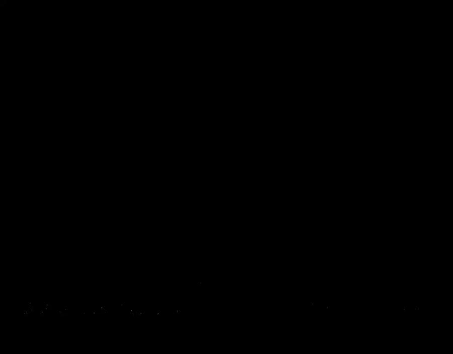 88.jpg
