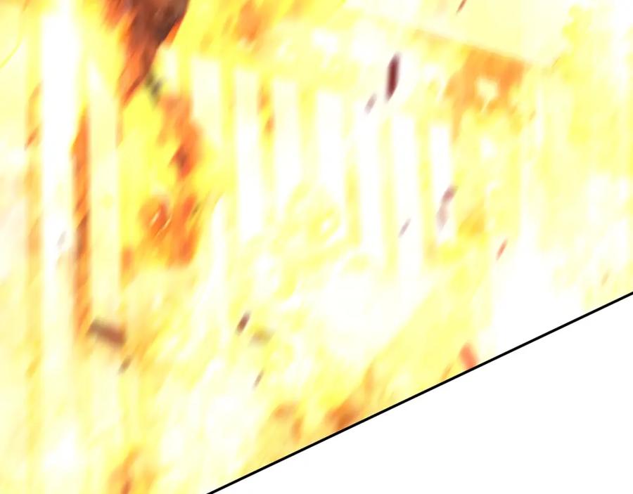 215.jpg
