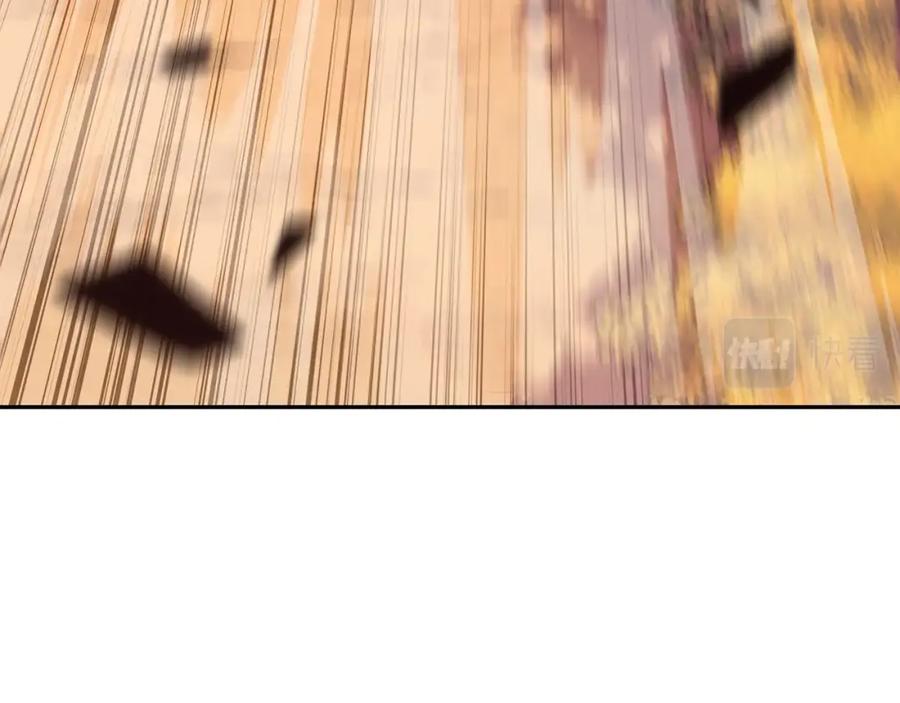164.jpg