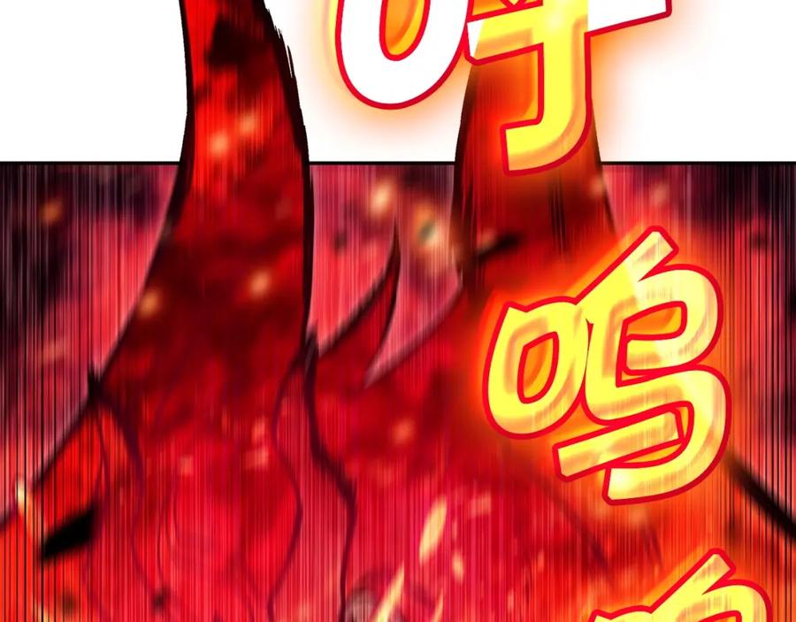 243.jpg