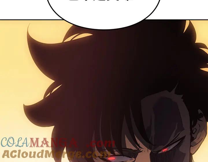 233.jpg