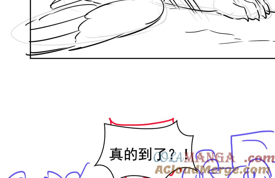 133.jpg