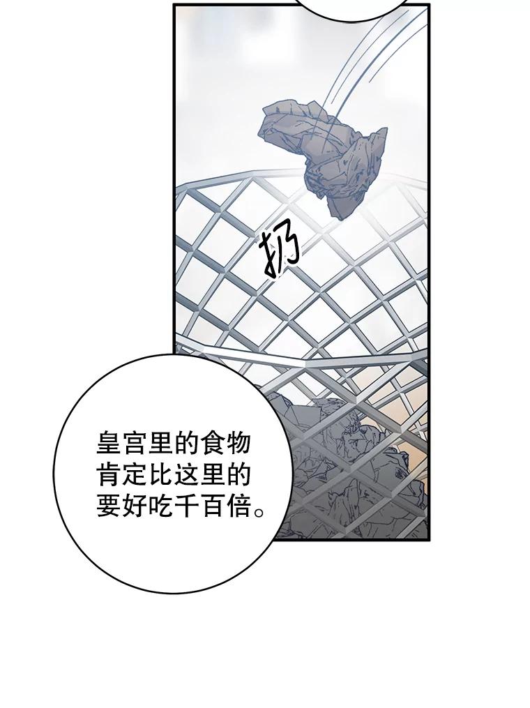 74.jpg