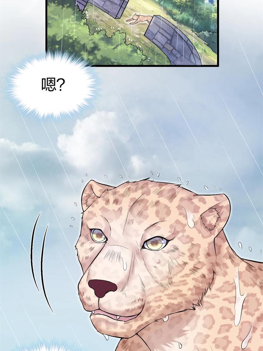 459-白箐箐的异世界冒险-白箐箐1（第11张）