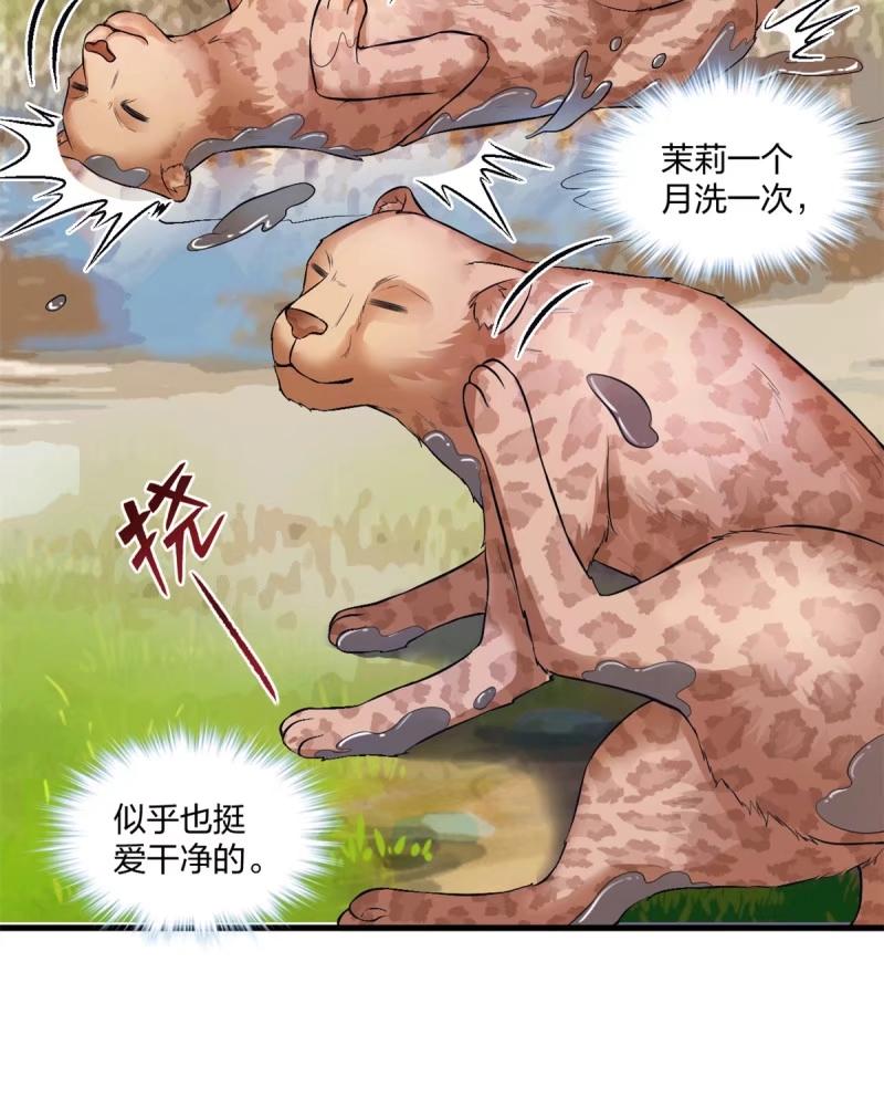 465-白箐箐的异世界冒险-白箐箐1（第21张）