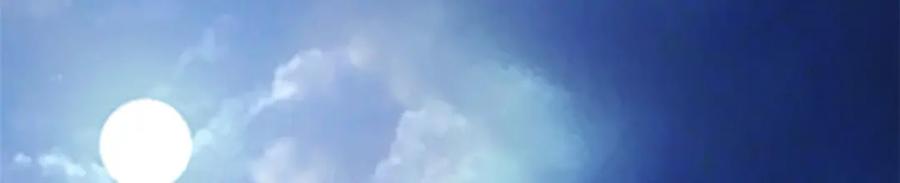 495-白箐箐的异世界冒险-白箐箐1（第6张）