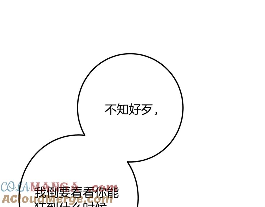 233.jpg